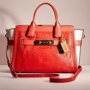 Restored Swagger In Colorblock Python Embossed Leather